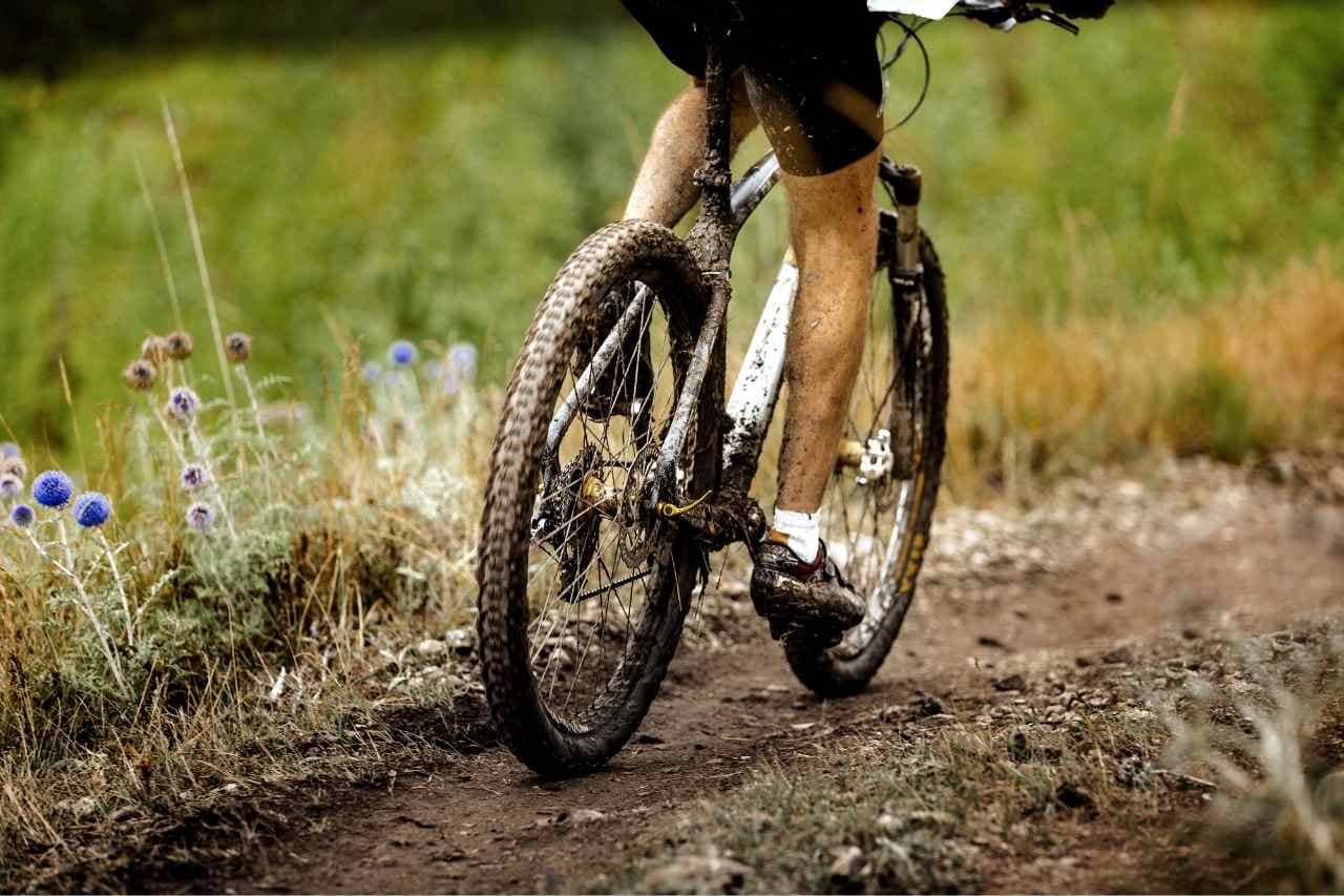 Mountain bike - Dunrobin Holiday Cottages, Caithness